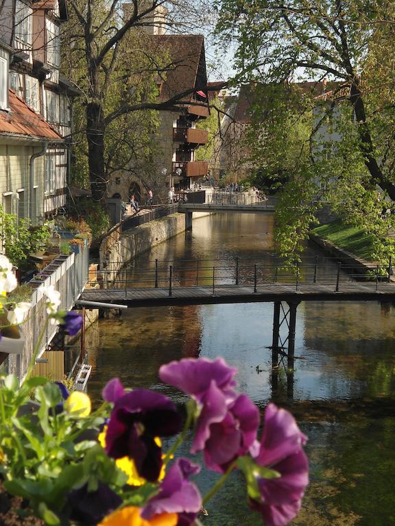 Altstadtapartment An Der Kraemerbruecke Erfurt Eksteriør bilde